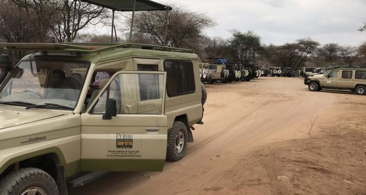 Best Congo Tour Operators