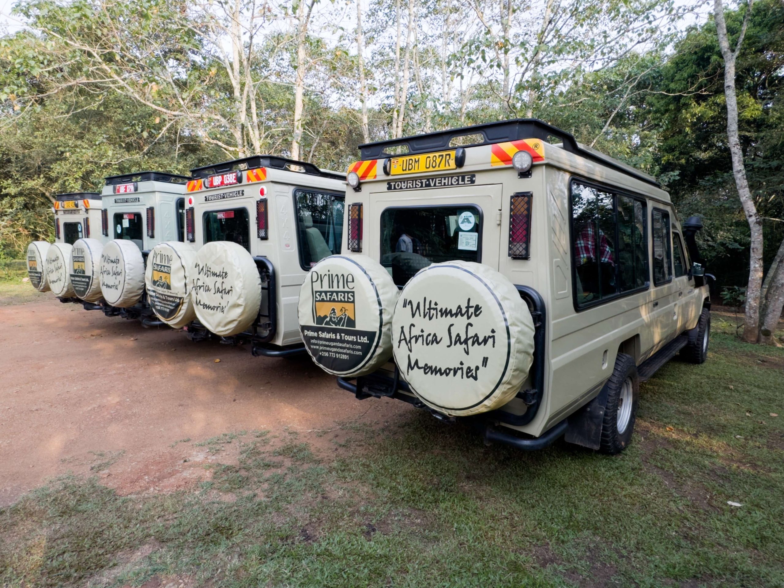 Congo National Parks